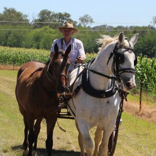 Riders and horses prepared for a production