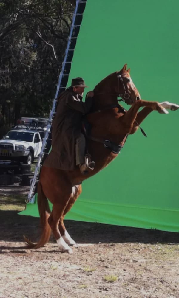 Horse performance on a green-screen production